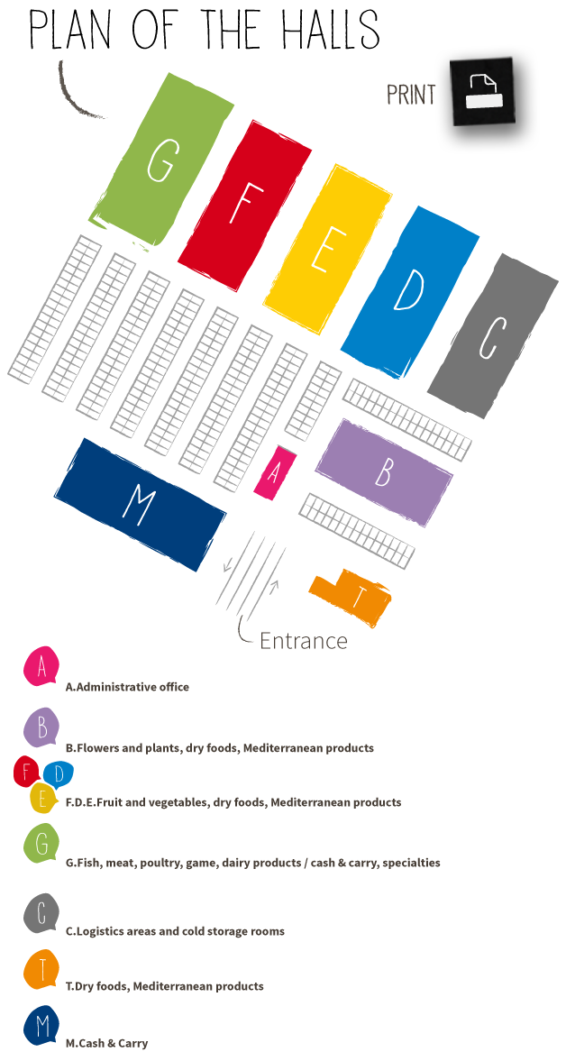 Print plan of the halls